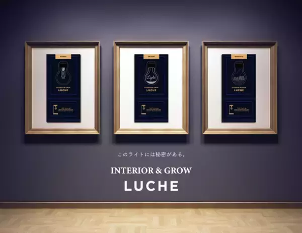 植物の室内栽培が可能なインテリアライト「LUCHE(ルーチェ)」　パッケージをリニューアルして8月発売、公式ストアもオープン
