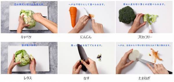 食材の切りすぎによる食品ロス(過剰除去)は、年間32.8万トンも！8割超が食品ロスに関心があるも、過剰除去への意識は2割以下。その野菜、切りすぎてるかも？野菜のムダのない切り方やレシピを伝授！「やさしい切りかた辞典TM」刃物メーカー貝印が8月31日（野菜の日）に公開