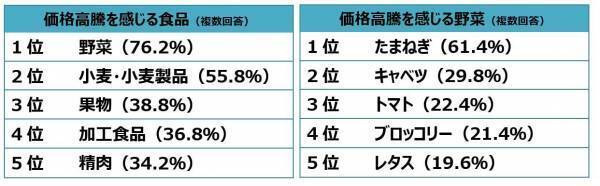 食材の切りすぎによる食品ロス(過剰除去)は、年間32.8万トンも！8割超が食品ロスに関心があるも、過剰除去への意識は2割以下。その野菜、切りすぎてるかも？野菜のムダのない切り方やレシピを伝授！「やさしい切りかた辞典TM」刃物メーカー貝印が8月31日（野菜の日）に公開