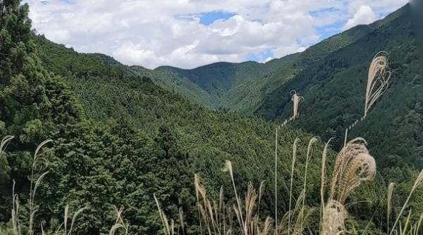 「国産認証材を利用する木材加工販売」を行う資金をファンドで募集