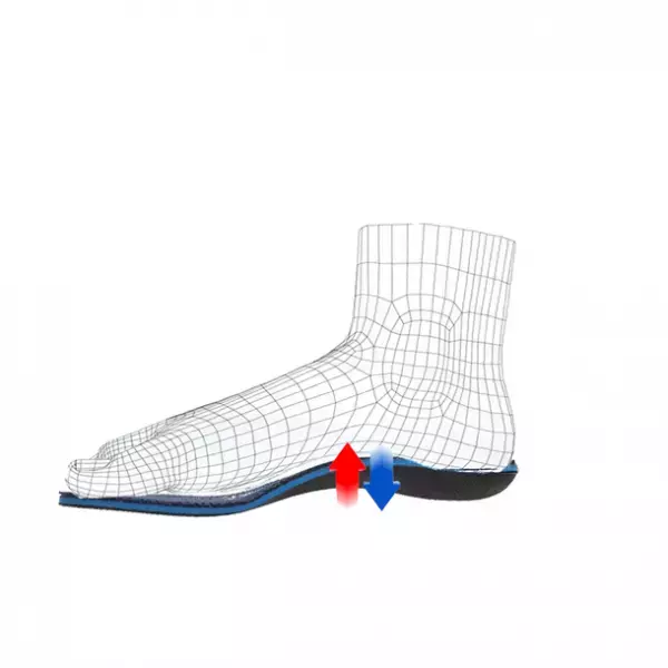 女性が美しくなるための情報番組で紹介された注目商品『ニュートラモーションインソール』のご紹介