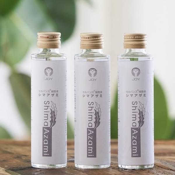 注目成分“エクソソーム”含有　奄美群島原産シマアザミ細胞液の清涼飲料水(150ml)が2022年9月、通信販売での取扱いを開始！11月25日(金)まで初回限定価格でご提供