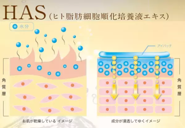 楽天ランキングで何度も1位を受賞！！寒天で出来た、まるごと美容液のパック「プレミアム　ハイドロゲル　アイパッチ」が9月1日(木)リニューアル発売