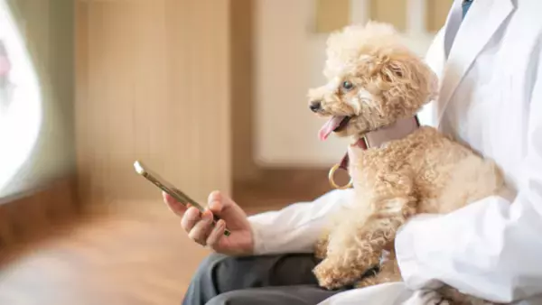 「視聴する実用書」　小動物臨床獣医師のオンライン学習＆診療手引き書　9月1日開講　～今日から診療が変わる～