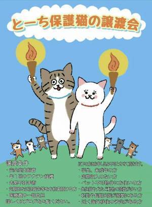 猫写真展「もふあつめ展」が渋谷のギャラリー・ルデコで9月3日(土)・4日(日)に開催！猫写真や猫作品約800点が大集合