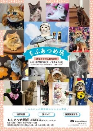 猫写真展「もふあつめ展」が渋谷のギャラリー・ルデコで9月3日(土)・4日(日)に開催！猫写真や猫作品約800点が大集合