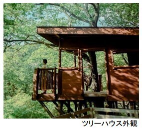 ROKKO森の音ミュージアム ツリーハウスが期間限定でハロウィンデザインに2022年9月23日（金・祝）～10月31日（月）