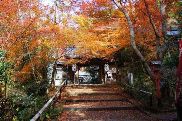 京の超穴場！京都山科の紅葉ガイドツアー付き宿泊プランを「京都山科 ホテル山楽」にて提供開始