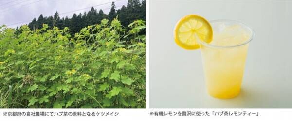 京都の自社農園の農薬／化学肥料を不使用で育てた自慢の野菜がたっぷり食べられる「たんとスープ」　9月16日、東大阪市に初出店