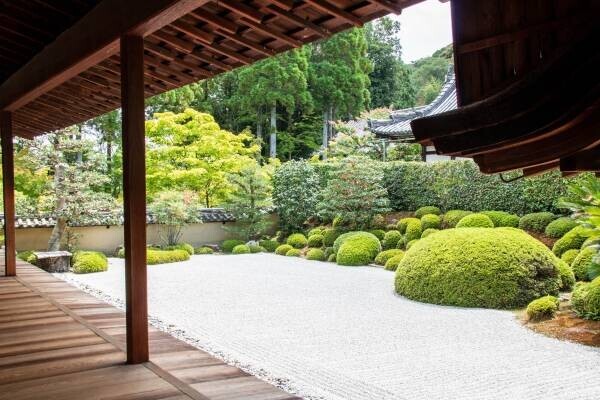 「お茶の京都」プレミアムバスツアー【歴史・緑茶ふるさと巡り編】を販売開始