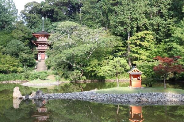 「お茶の京都」プレミアムバスツアー【茶畑・国宝巡り編】を販売開始