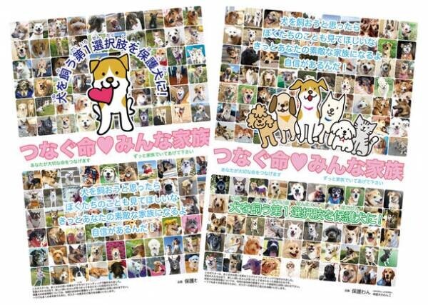 【動物愛護週間】全国47都道府県 13,563校の小中高に、命の大切さを伝える保護犬の愛護啓発ポスターが掲示されました！