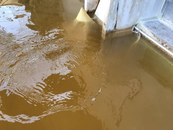 千葉県野田市のスーパー銭湯が2022年9月17日にサウナエリアをリニューアルオープン！