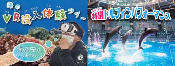 第39回ダヴィンチマスターズ フィールドプログラムinマクセル アクアパーク品川