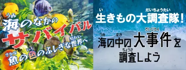 第39回ダヴィンチマスターズ フィールドプログラムinマクセル アクアパーク品川