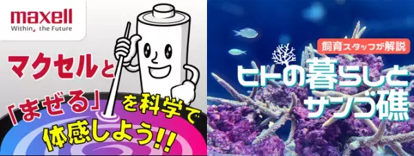 第39回ダヴィンチマスターズ フィールドプログラムinマクセル アクアパーク品川