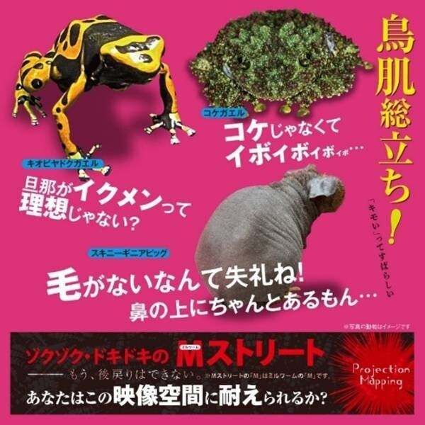 「キモい」のには、理由があるんだ・・・『キモい展2022 in 横浜』　9月17日(土)から開催！