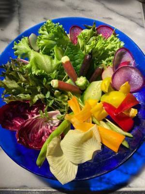 「花と楽しむ奈良のおいしい食フェスタ」を10月8日～10日の3日間開催！マルシェや花の展示、音楽が楽しめる入場無料グルメイベント！