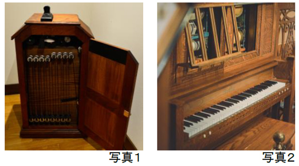 ROKKO森の音ミュージアム クリスマスイベント「森の音ワンダークリスマス2022」開催！2022年11月25日（金）～12月25日（日）