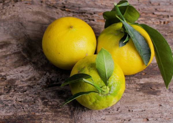 安らぎの高保湿ボディケア　リーフ＆ボタニクス秋冬限定「ベルガモット」シリーズを9月14日に新発売