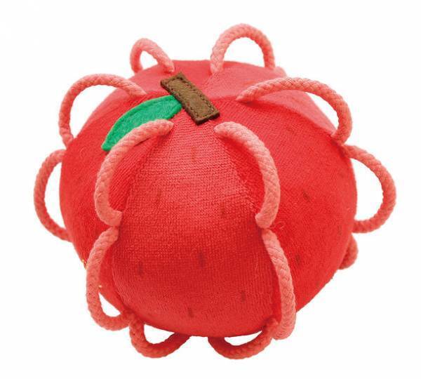 全国約2,000名のおもちゃコンサルタントが選定！知育玩具メーカー「シャオール」発売商品がグッド・トイW受賞