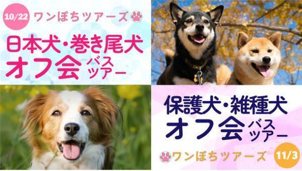 ワンちゃんが主役のペットツアー「ワンぽちツアーズ」　房総マザー牧場などを巡る、犬種限定オフ会バスツアーの開催決定！9月7日より予約受付開始