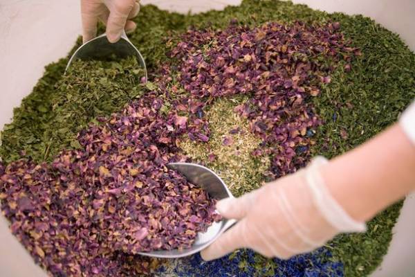 季節の変わり目におすすめ　マリエン｜ドイツハーブの「秋の生活サポートセット」を1,000円OFF・送料無料で発売