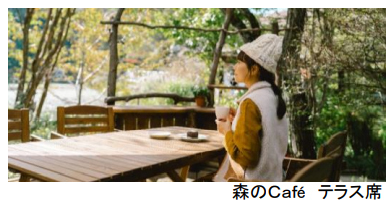 ROKKO森の音ミュージアムリアル謎解きゲーム『妖精たちのカンタービレ』秋のキャンペーン実施！！