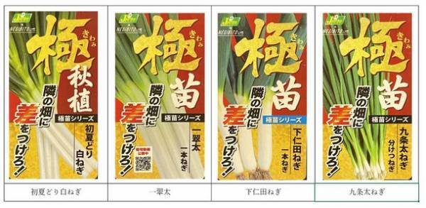 カネコ種苗株式会社とねぎびとカンパニー株式会社が共同開発　SDGsにつながる新シリーズ「極苗2023」を2023年2月に発売