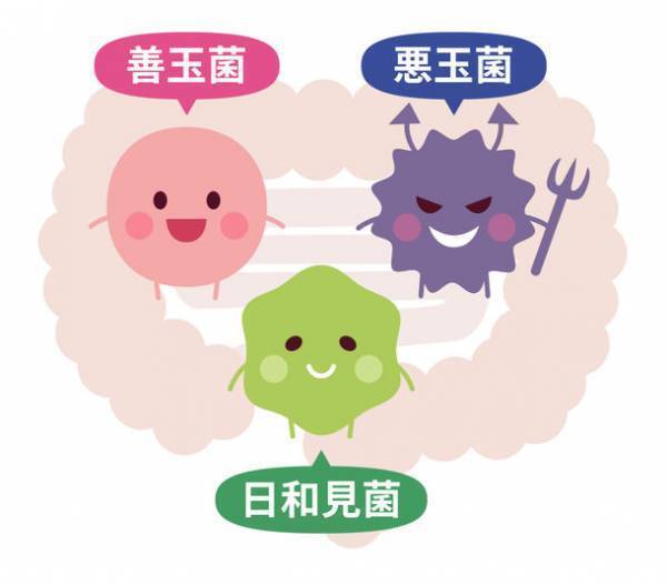 22種類もの菌が凝縮して配合されている腸活サプリ「CHONYチョーニイ」の口コミ投稿キャンペーンを9/20より実施！