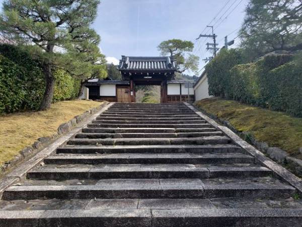 通常非公開・京都「霊鑑寺」秋の特別拝観を開催　2022年11月19日(土)～12月4日(日)　～紅葉美しい庭園や狩野派作の襖絵を公開～