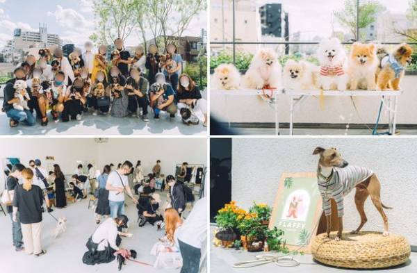 イヌもヒトも一緒に楽しめるイベント『FLAFFY Marche vol.2』を2022年11月に大阪・東京にて開催