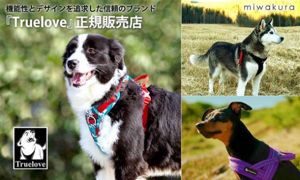 可愛くてお洒落なハーネス・リード・首輪等を多数取り揃え。美和蔵がペットブランド『Truelove』正規販売店に。
