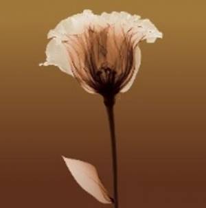 イメチェン願望はあるけれども…。7割以上はイメチェンに挑戦できていない！？その原因は過去のイメチェン後悔だった！？ヘアメイクアーティストGeorgeさんが伝授する失敗しないためのイメチェンメイク4選をご紹介！