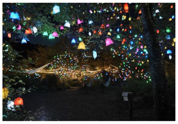 自然の中で楽しむ展覧会「六甲ミーツ・アート芸術散歩2022」期間限定で夜間作品が鑑賞できる「ひかりの森～夜の芸術散歩～」9月23日(金・祝)～土日祝日限定で開催！