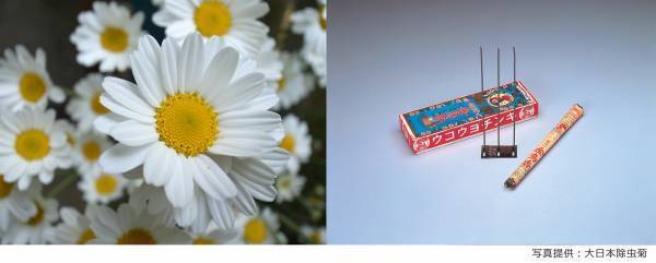 NEWS 1  総展示 “毒”数 250超！見どころ大公開！NEWS 2 オフィシャルサポーター伊沢拓司さんに決定！NEWS 3 音声ガイドナビゲーター声優・中村悠一さんに決定！