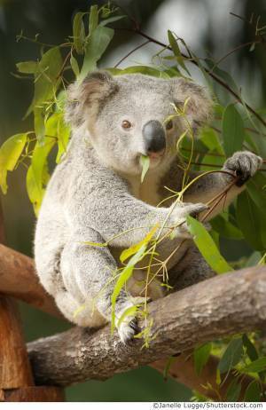 NEWS 1  総展示 “毒”数 250超！見どころ大公開！NEWS 2 オフィシャルサポーター伊沢拓司さんに決定！NEWS 3 音声ガイドナビゲーター声優・中村悠一さんに決定！