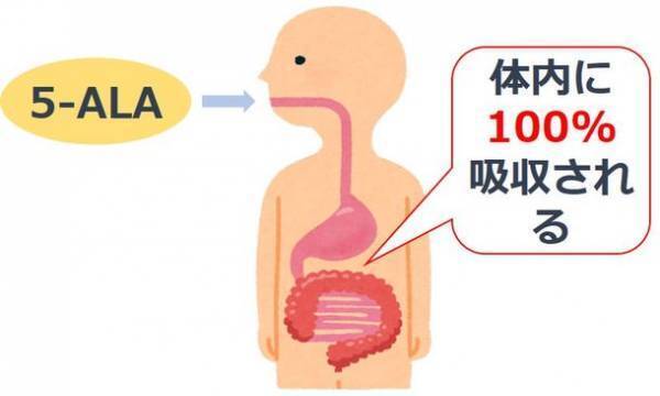 ＜ネオファーマ社・東京大学の共同研究＞コロナ第7波感染者数は約1,000万人！今秋は後遺症患者急増の可能性　天然アミノ酸「5-ALA」で、疲労感・ストレスなどの後遺症改善を確認
