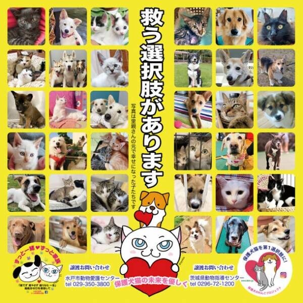 【動物愛護週間】バスに登場！保護犬、保護猫の啓発ポスター。走る啓発活動で殺処分ゼロへ！