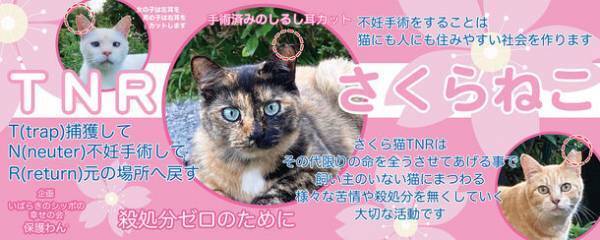 【動物愛護週間】バスに登場！保護犬、保護猫の啓発ポスター。走る啓発活動で殺処分ゼロへ！