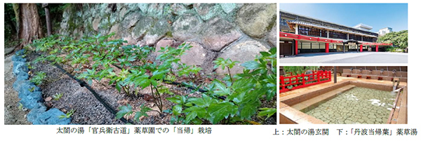 兵庫医科大学 × 有馬温泉 太閤の湯 包括連携協定締結のお知らせ