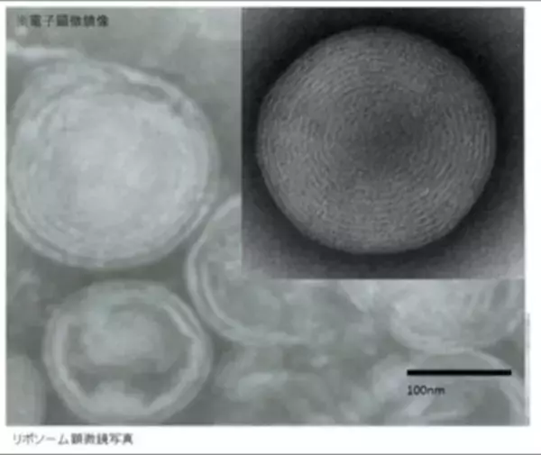 ～おうちでセルフメディカルエステ～　ふわふわ炭酸ホイップで、メディカルエステをおうちで手軽に味わえる「RC リポソームホイップパック」がこの秋、新発売！