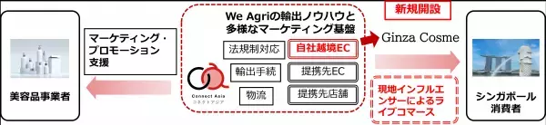 日本産のD2C美容品の海外販路開拓支援を開始