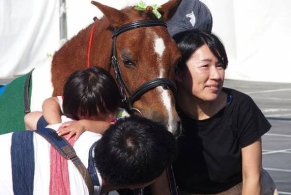 獣医師の仕事について知る！動物とふれあう！動物同伴OKイベント「2022動物感謝デー in JAPAN “World Veterinary Day”」10月1日(土)開催