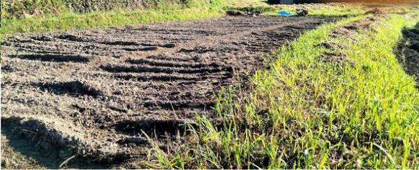 ごはんが進む鉄板料理が特徴の料理店「いかづち食堂」、8月オープン　無肥料野菜などの店内販売も実施