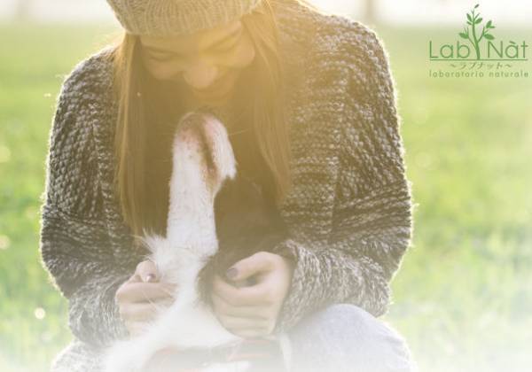 オーガニックペットケア「ラプナットBio」シリーズを10/1開催のドッグフェス「101PARTY Dalmatians」に出展