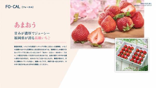 矢田亜希子さんが“おいしい”まち巡りへ「旅色FO-CAL」福岡県春日市特集公開