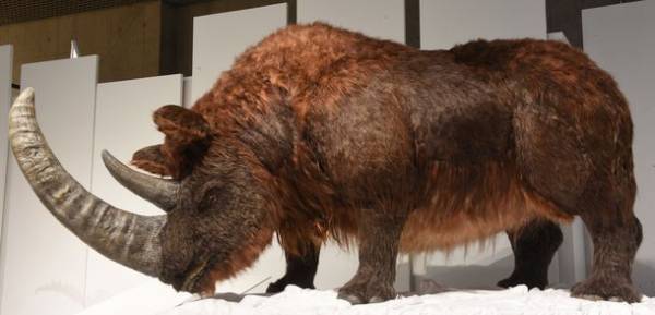 9月22日は「世界サイの日」！目玉展示である「チベットケサイ」にちなみ、『ケ』サイの日キャンペーンを実施　～9月22日(木)から数量限定で、高校生以下のご来場者に＜ちべたんシール＞をプレゼント！～