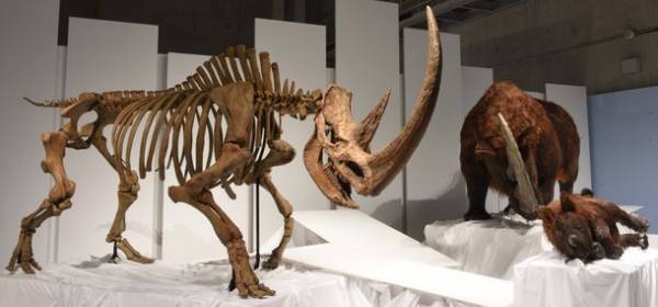 9月22日は「世界サイの日」！目玉展示である「チベットケサイ」にちなみ、『ケ』サイの日キャンペーンを実施　～9月22日(木)から数量限定で、高校生以下のご来場者に＜ちべたんシール＞をプレゼント！～