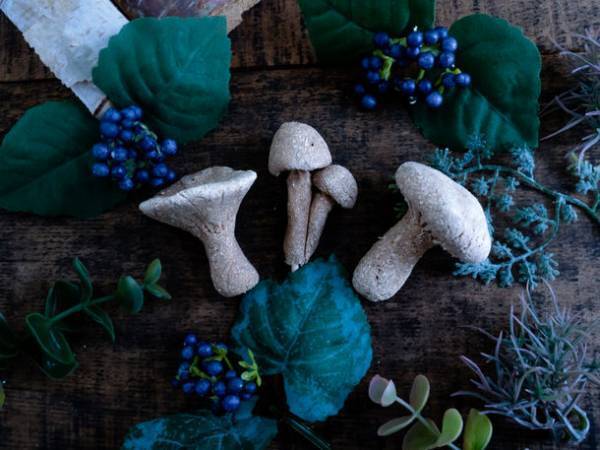 秋を感じられるアートプロジェクト　地域回遊型大規模アート展「ひのはらアート2022～生活藝術とむらのよさ」　TOKYOの源流・檜原村を中心に10月22日～11月23日開催！